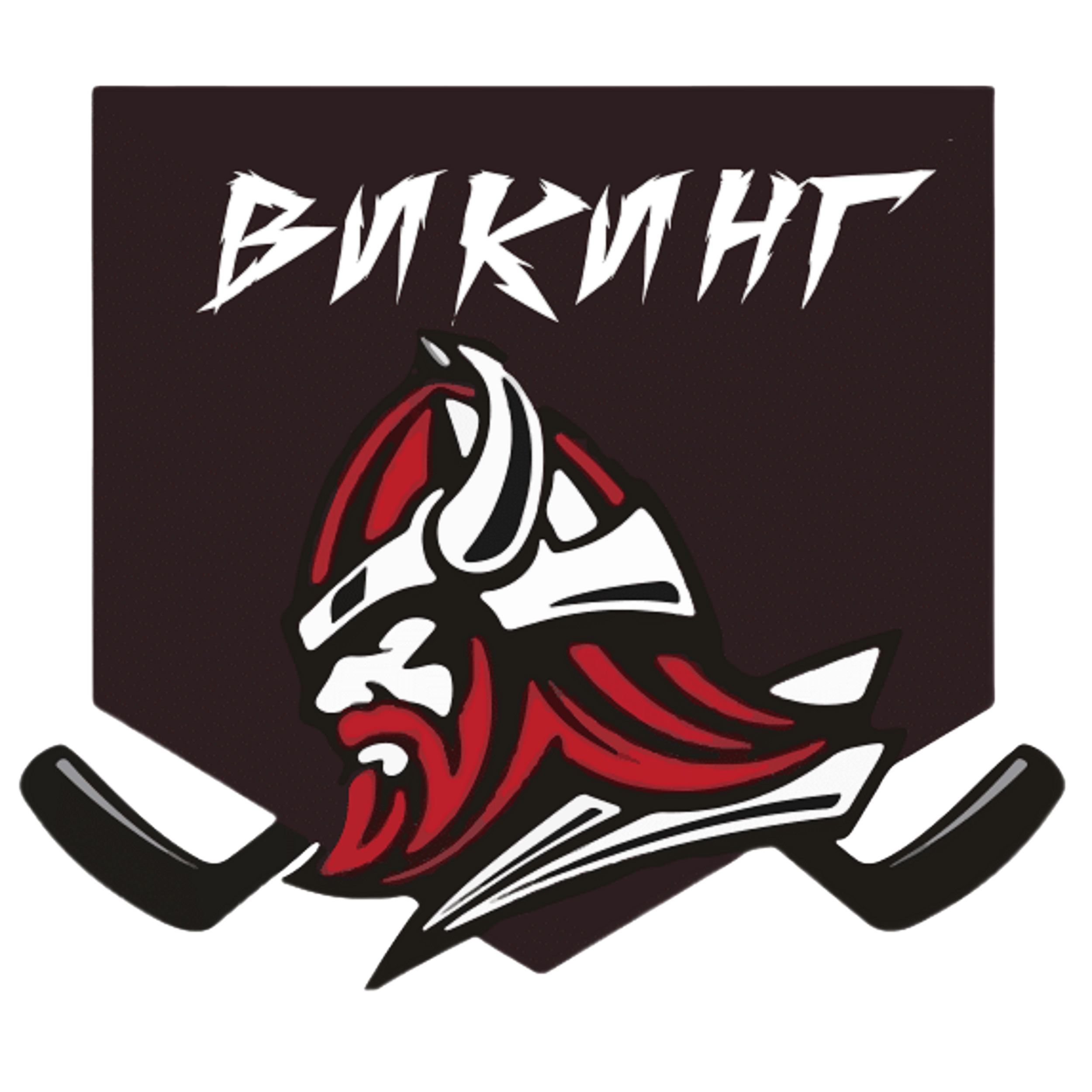 ХК Викинг