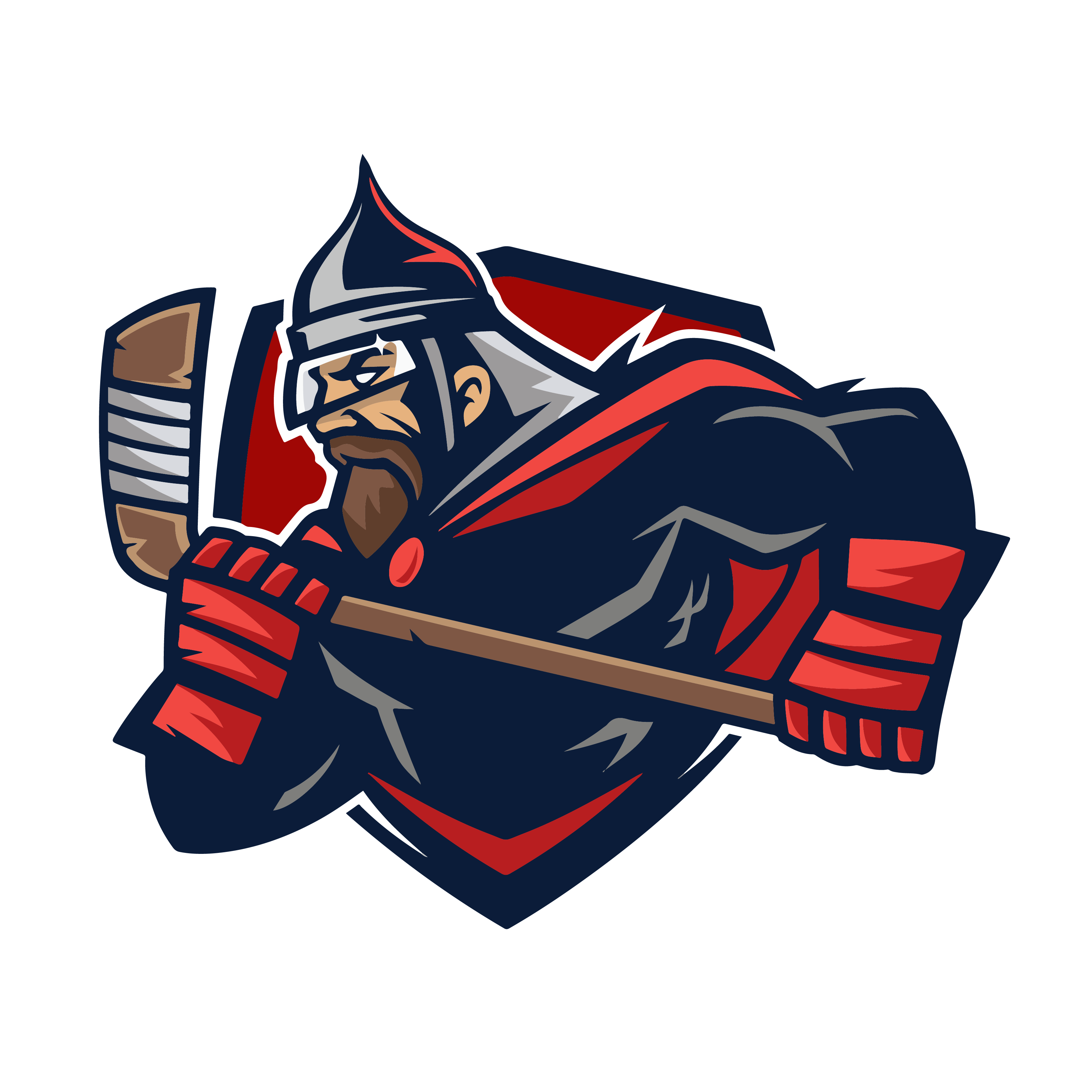 Витязи (ТОМ)